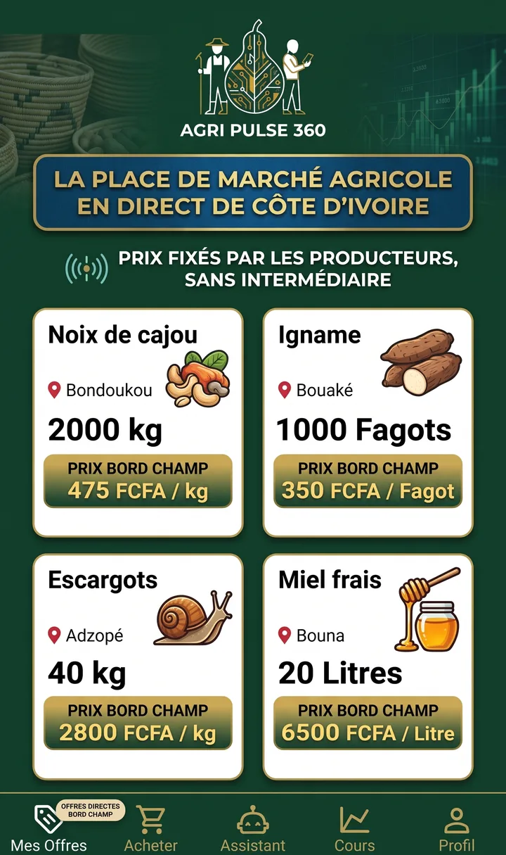 Offres au prix bord champ : noix de cajou, igname, escargots, miel frais